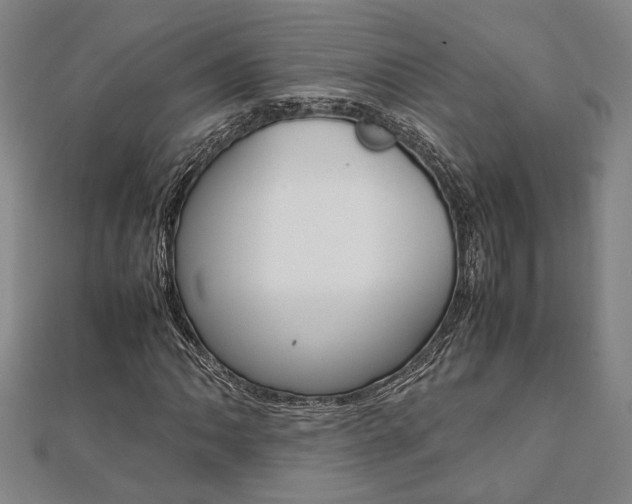 X0000112051062200908040945