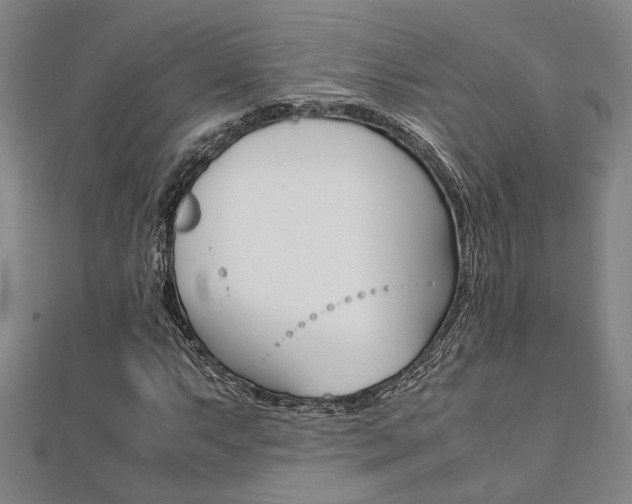 X0000112051063200908040945