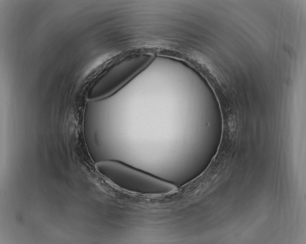X0000112051064200908040945