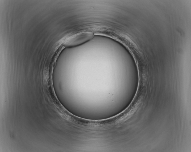 X0000112051065200908040945
