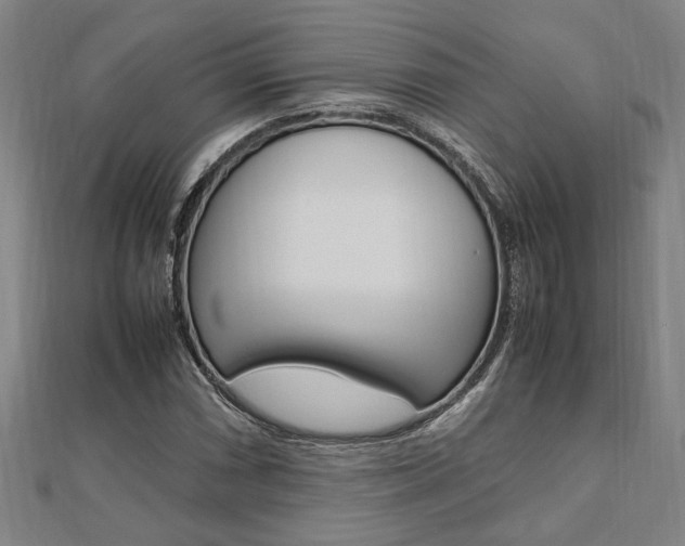 X0000112051066200908040945
