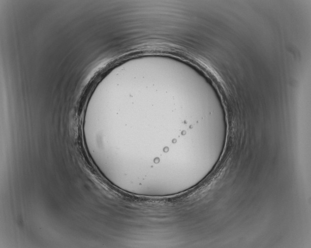 X0000112051067200908040945