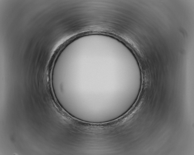 X0000112051070200908040945