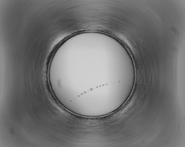 X0000112051071200908040945