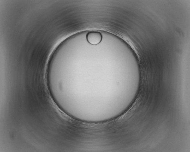 X0000112051072200908040945