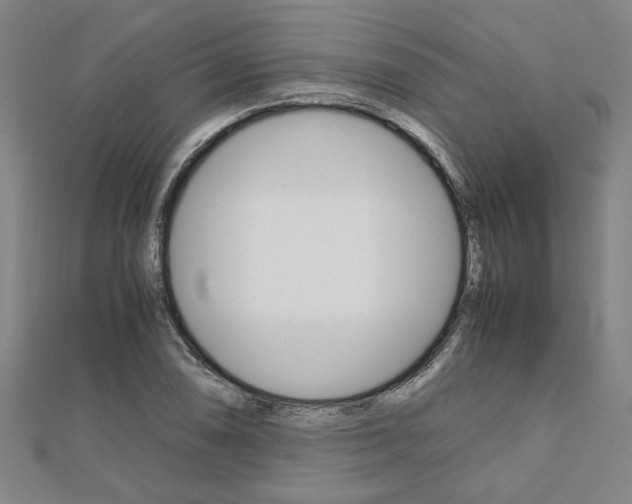 X0000112051074200908040945