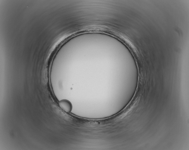 X0000112051075200908040945