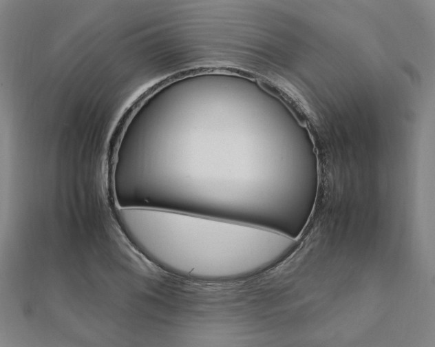 X0000112051076200908040945