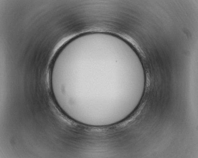 X0000112051078200908040945
