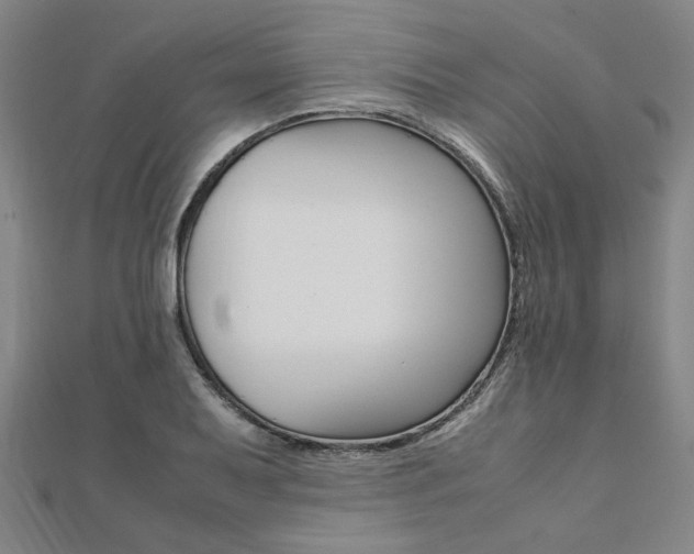 X0000112051079200908040945