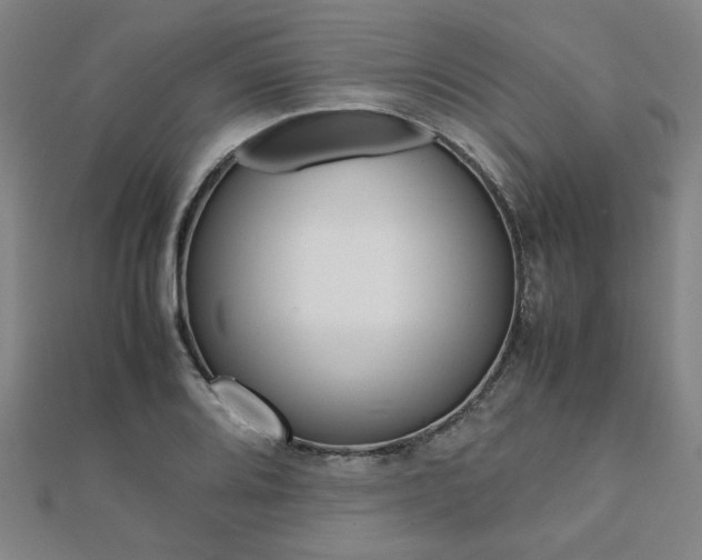 X0000112051080200908040945