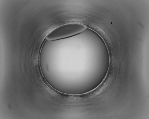X0000112051081200908040945