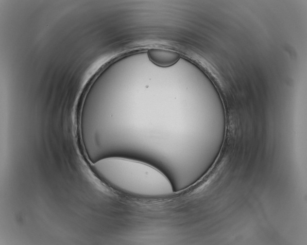 X0000112051082200908040945