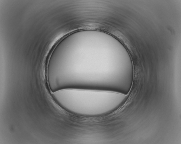 X0000112051083200908040945