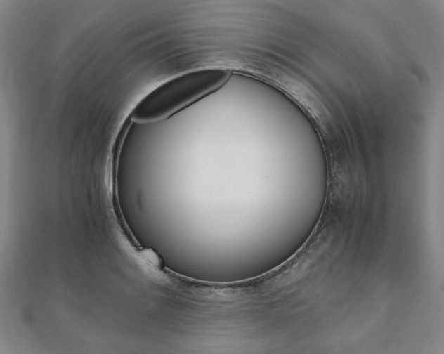 X0000112051084200908040945