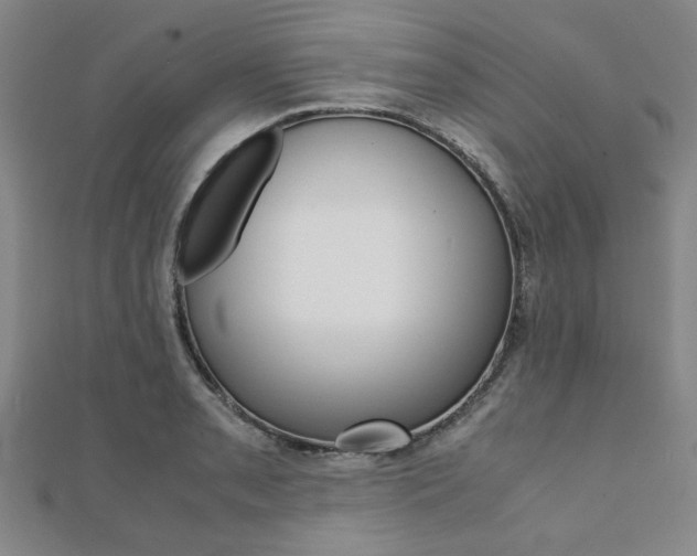 X0000112051085200908040945