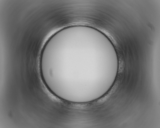X0000112051086200908040945