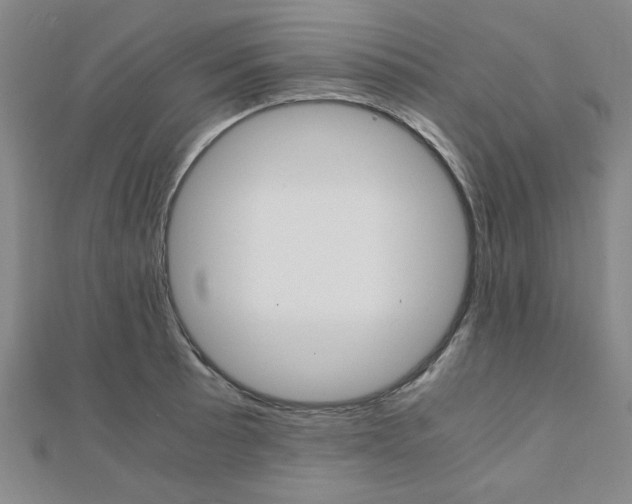 X0000112051089200908040945