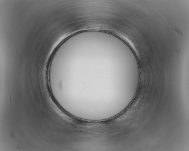 X0000112051091200908040945