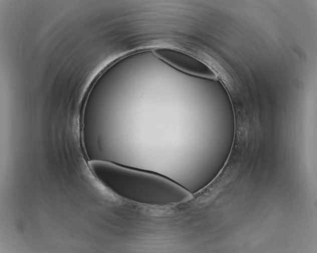 X0000112051092200908040945