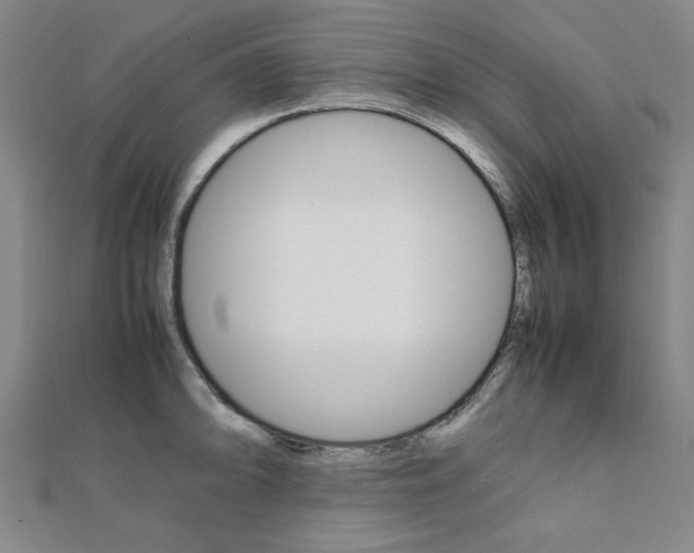 X0000112051094200908040945