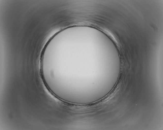 X0000112051095200908040945