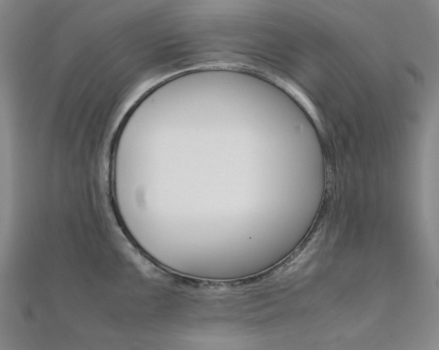 X0000112051099200908040945