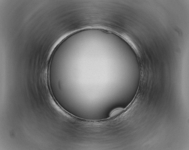 X0000112051100200908040945
