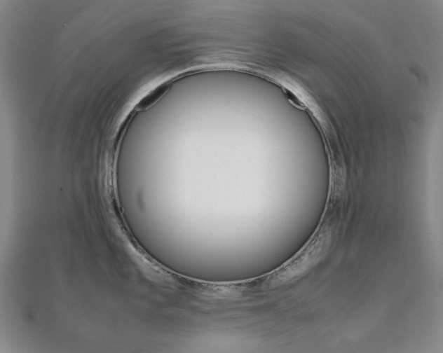 X0000112051101200908040945
