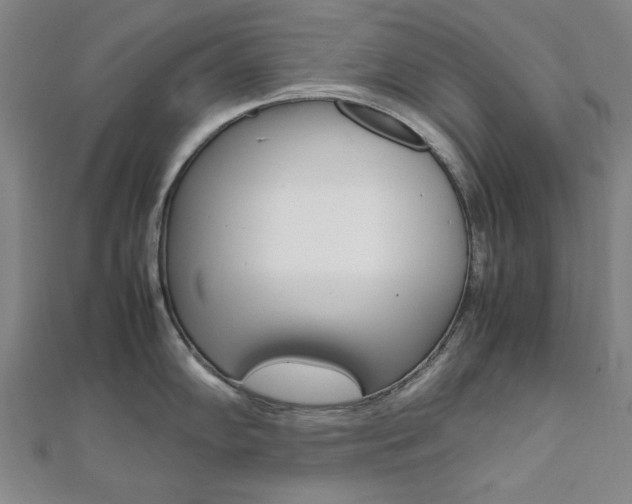 X0000112051102200908040945