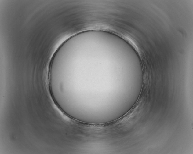X0000112051103200908040944