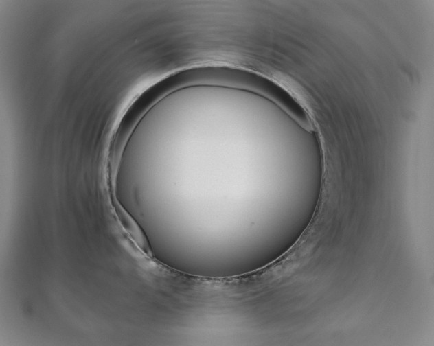 X0000112051104200908040944
