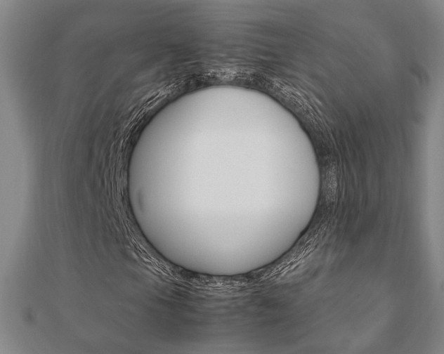 X0000112051105200908040944