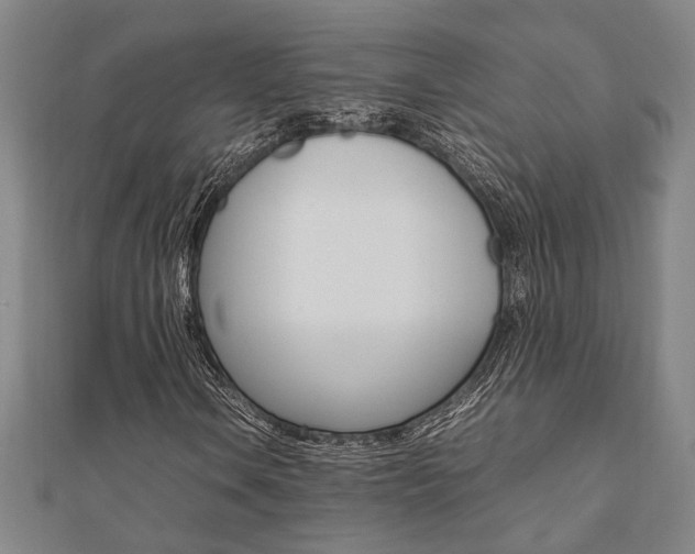 X0000112051106200908040944