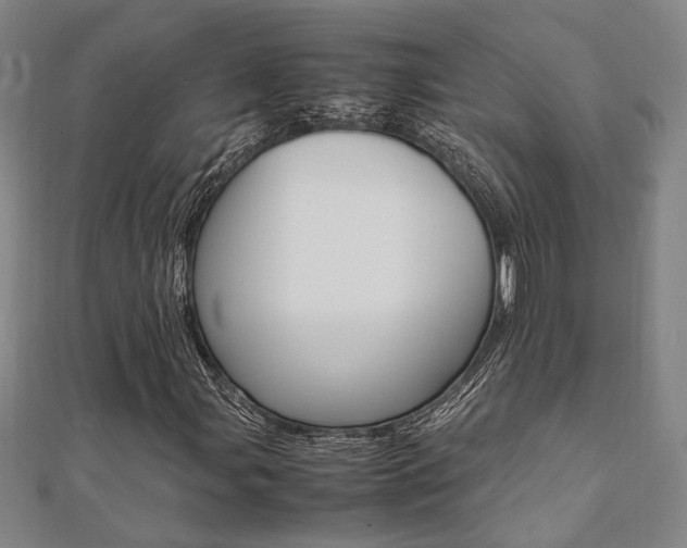 X0000112051107200908040944