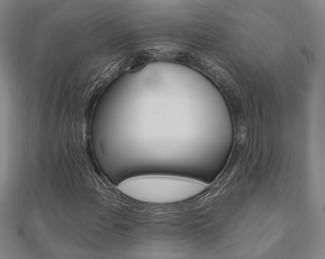 X0000112051108200908040944