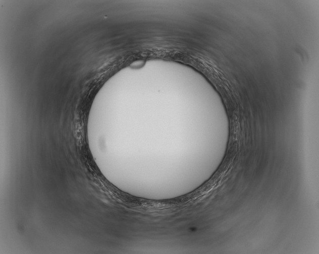 X0000112051109200908040944