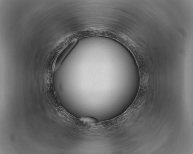 X0000112051110200908040944