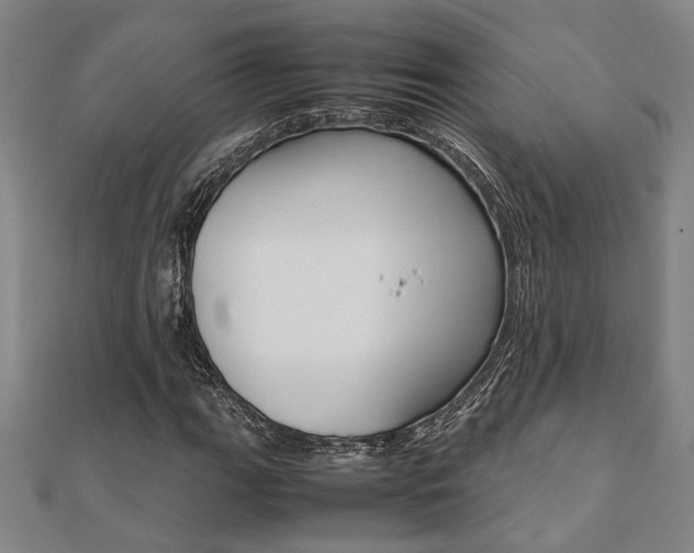 X0000112051111200908040944