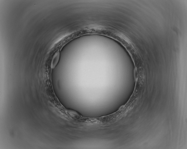 X0000112051112200908040944