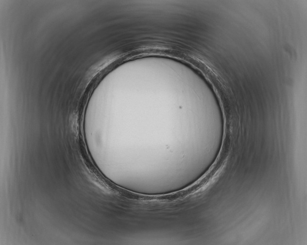 X0000112051113200908040944