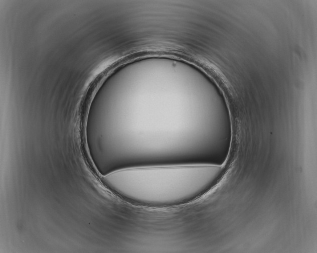 X0000112051114200908040944