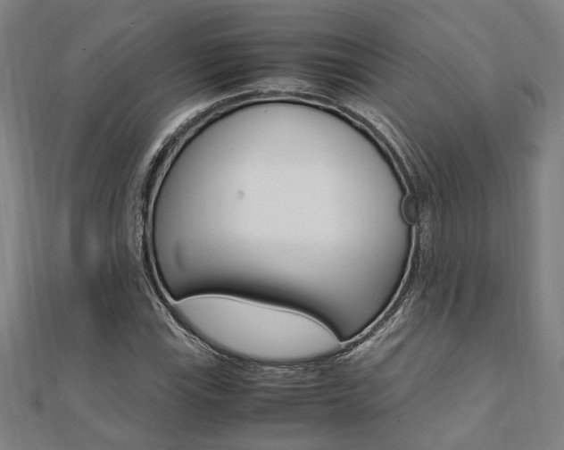 X0000112051115200908040944