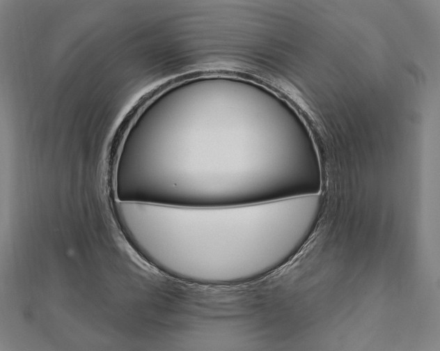 X0000112051116200908040944