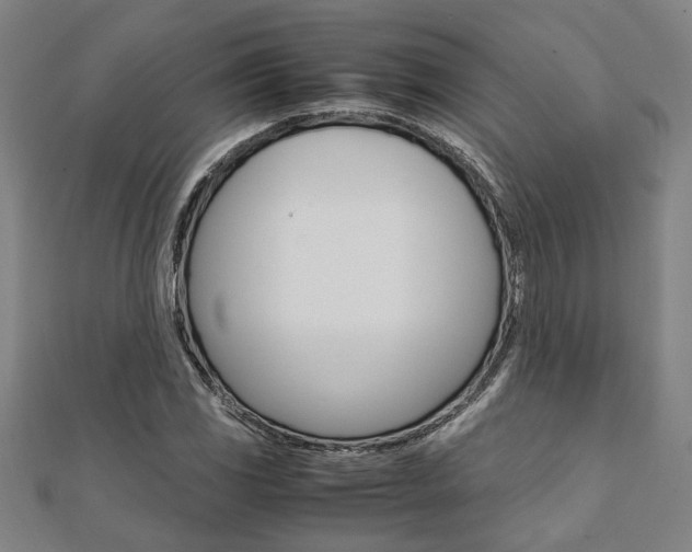 X0000112051117200908040944
