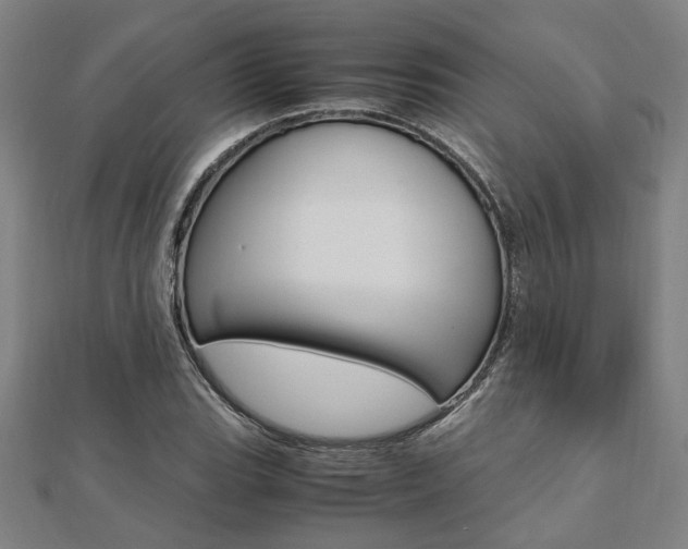 X0000112051119200908040944