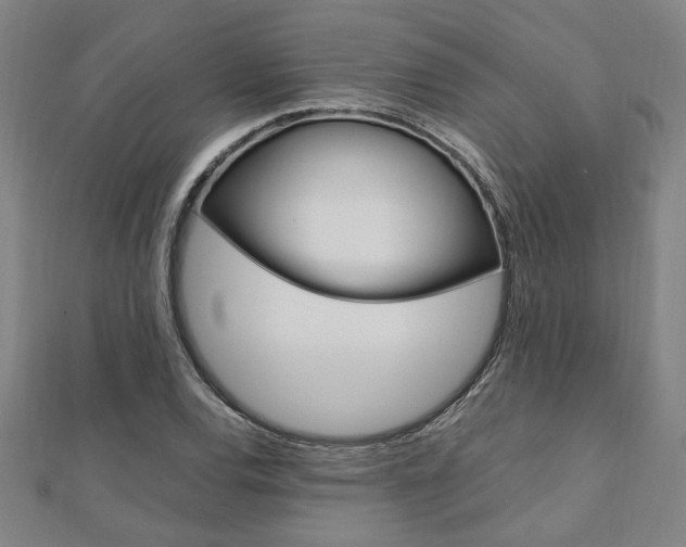 X0000112051120200908040944