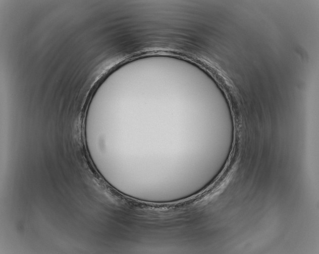 X0000112051121200908040944