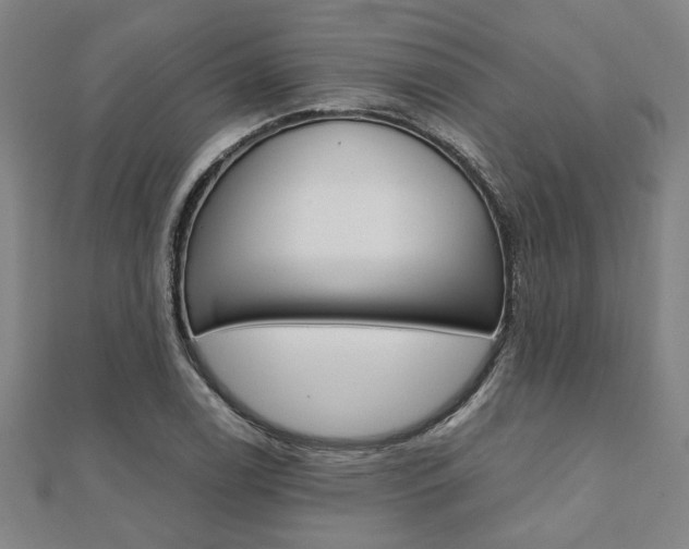 X0000112051122200908040944