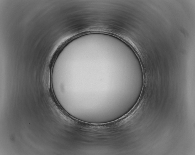 X0000112051123200908040944